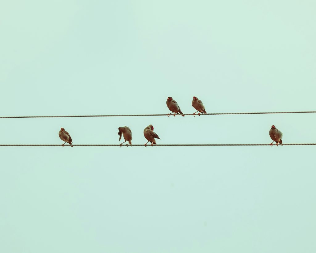 Executive Communication Skills Training for Strategic Leaders